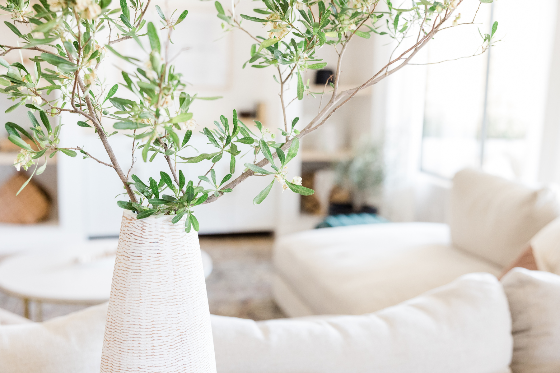 Creating Your Haven of Wellness: Achieving Beautifully Clean Living